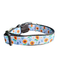 Pretty Flowers Nylon Dog Collar
