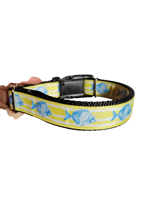 Fish On Yellow Stripes Nylon Dog Collar | Purrfect Pet Kingdom