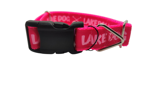 Lake Dog Pink Nylon Dog Collar | Purrfect Pet Kingdom