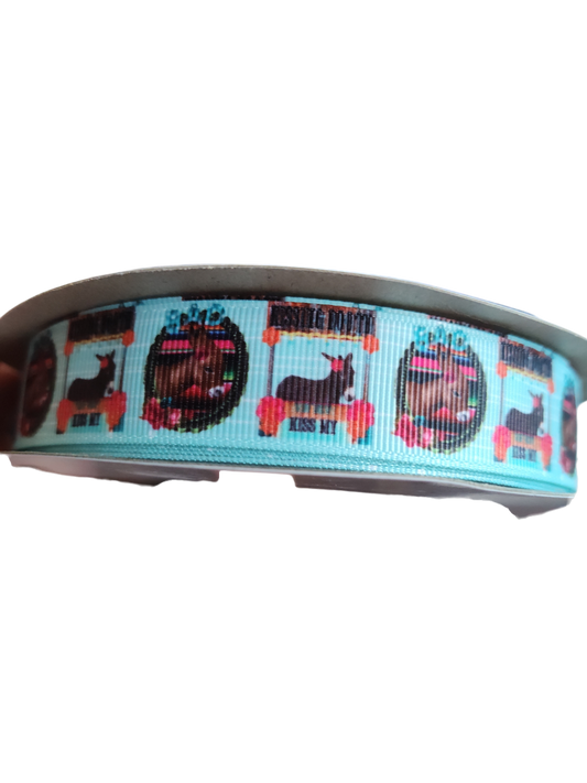 Donkey (Ass) Kissing Booth Nylon Dog Collar | Purrfect Pet Kingdom