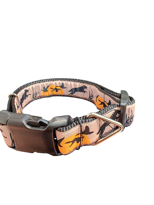 Duck Dogs Nylon Dog Collar | Purrfect Pet Kingdom