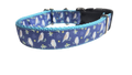 Kookaburra Bird Nylon Dog Collar