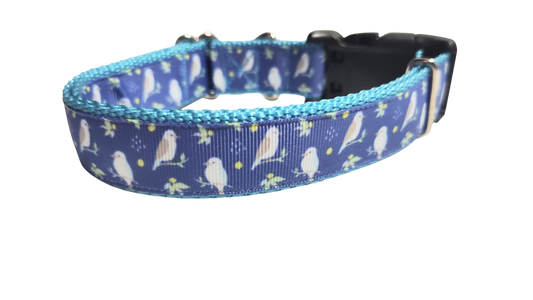 Kookaburra Bird Nylon Dog Collar | Purrfect Pet Kingdom