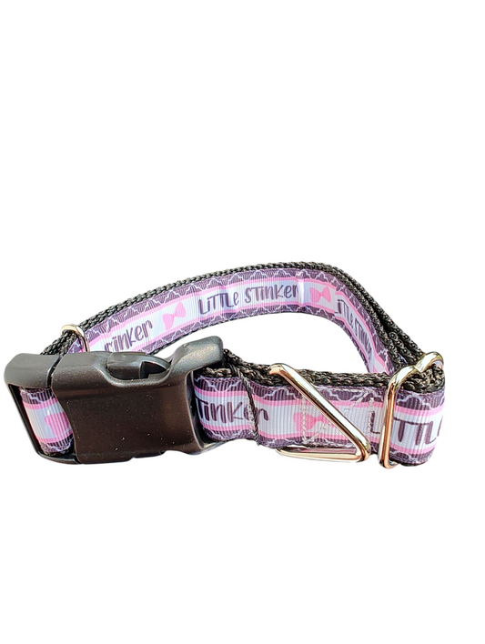 Little Stinker Nylon Dog Collar | Purrfect Pet Kingdom