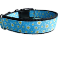 Daisies Nylon Dog Collar | Purrfect Pet Kingdom