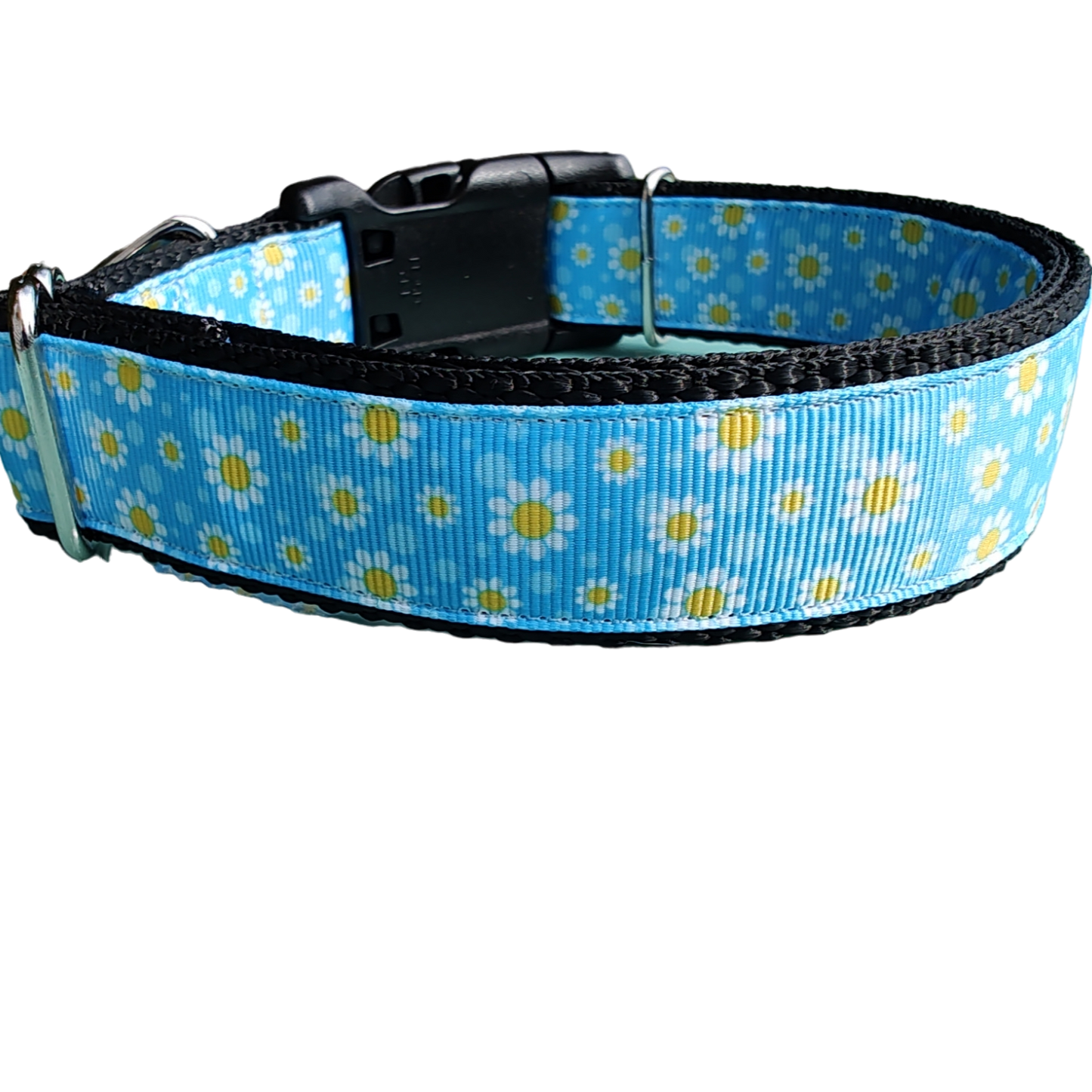 Daisies Nylon Dog Collar | Purrfect Pet Kingdom