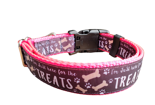 Here For The Treats Hot Pink Nylon Dog Collar MD, LG, XL, Leash | Purrfect Pet Kingdom