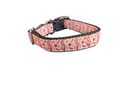 Dreamcatcher Nylon Dog Collar | Purrfect Pet Kingdom