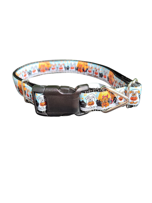 Trick GRR Treat Nylon Dog Collar | Purrfect Pet Kingdom