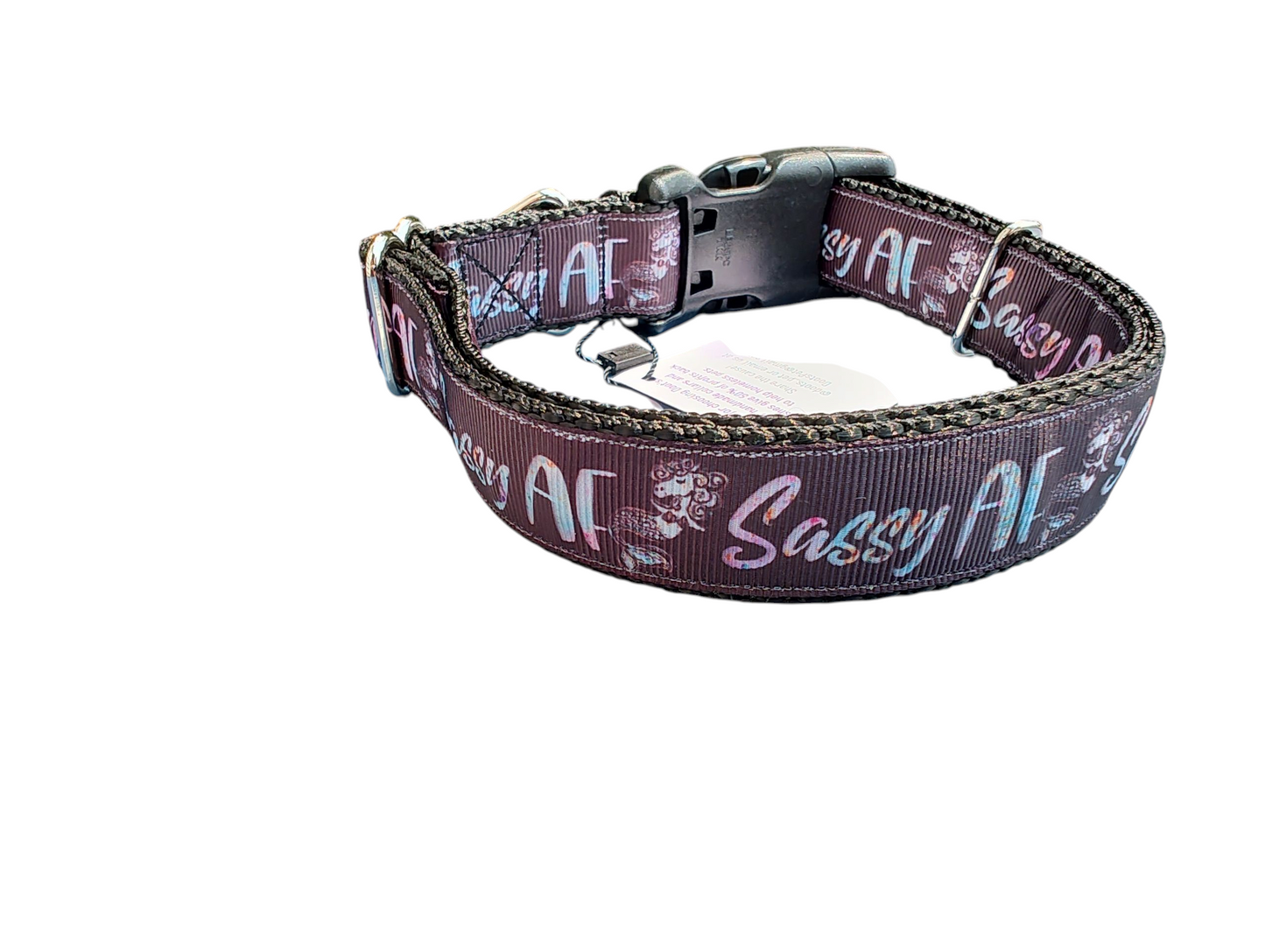 Sassy AF Nylon Dog Collar | Purrfect Pet Kingdom