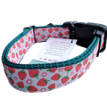 Strawberry Flowers Green Nylon Dog Collar MD, LG, XL, Leash