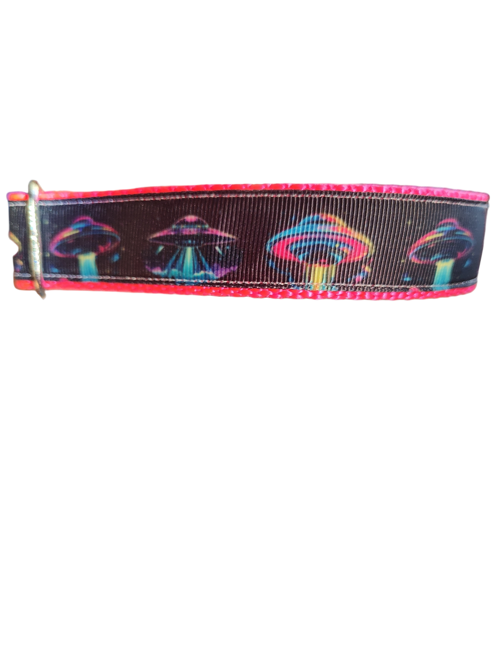 Neon UFO Nylon Dog Collar
