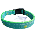 Fetch It Yourself! Neon Green Nylon Dog Collar MD, LG, XL, Leash