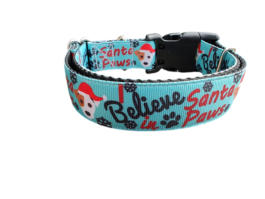 Believe In Santa Paws Christmas Nylon Dog Collar | Purrfect Pet Kingdom