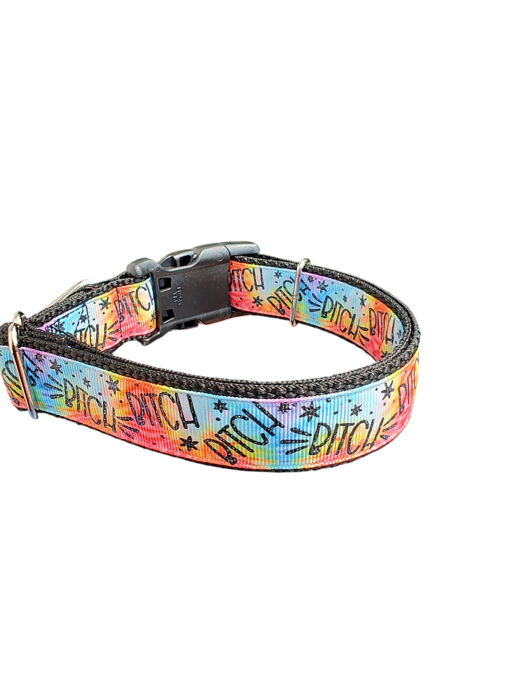 Bitch Rainbow Nylon Dog Collar | Purrfect Pet Kingdom
