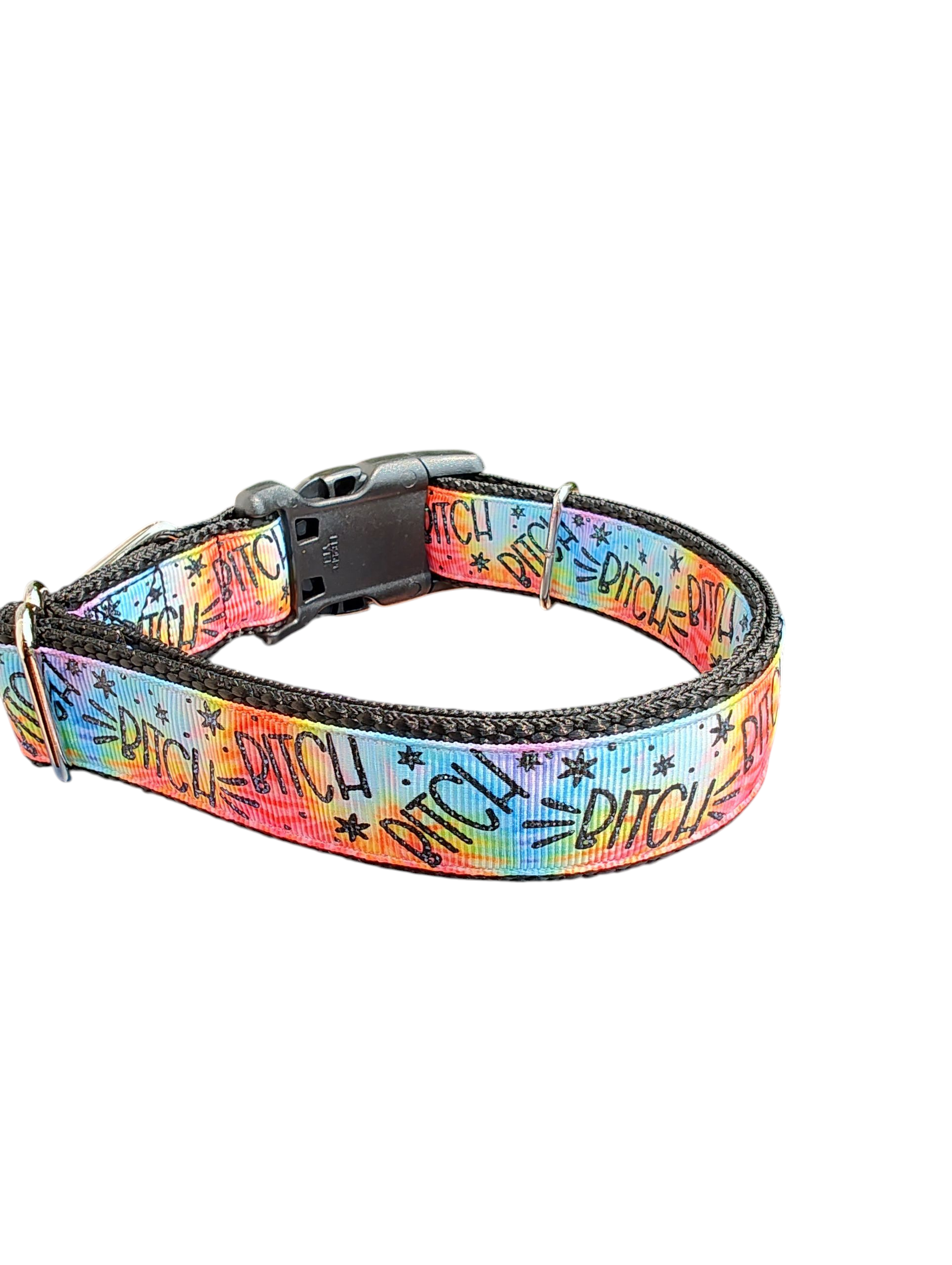 Bitch Rainbow Nylon Dog Collar | Purrfect Pet Kingdom