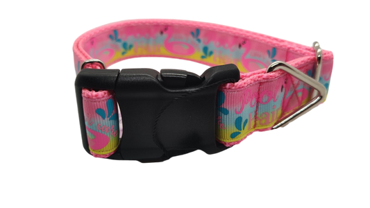 Pool Hair Don't Care Nylon Dog Collar | Purrfect Pet Kingdom