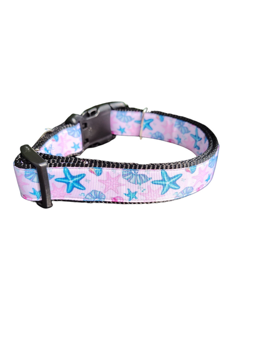 Starfish and Snails Nylon Dog Collar | Purrfect Pet Kingdom