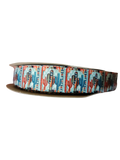 Western Cacti Nylon Dog Collar