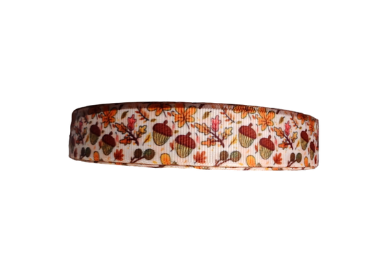 Acorn Woods Nylon Dog Collar
