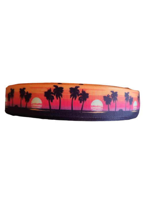 Beach Sunsets Nylon Dog Collar | Purrfect Pet Kingdom
