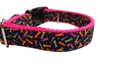 Neon Bones Nylon Dog Collar MD, LG, XL, Leash