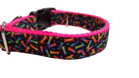 Neon Bones Nylon Dog Collar MD, LG, XL, Leash | Purrfect Pet Kingdom