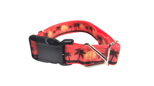 Beach Sunsets Nylon Dog Collar | Purrfect Pet Kingdom