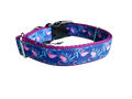 Flamingos Nylon Dog Collar