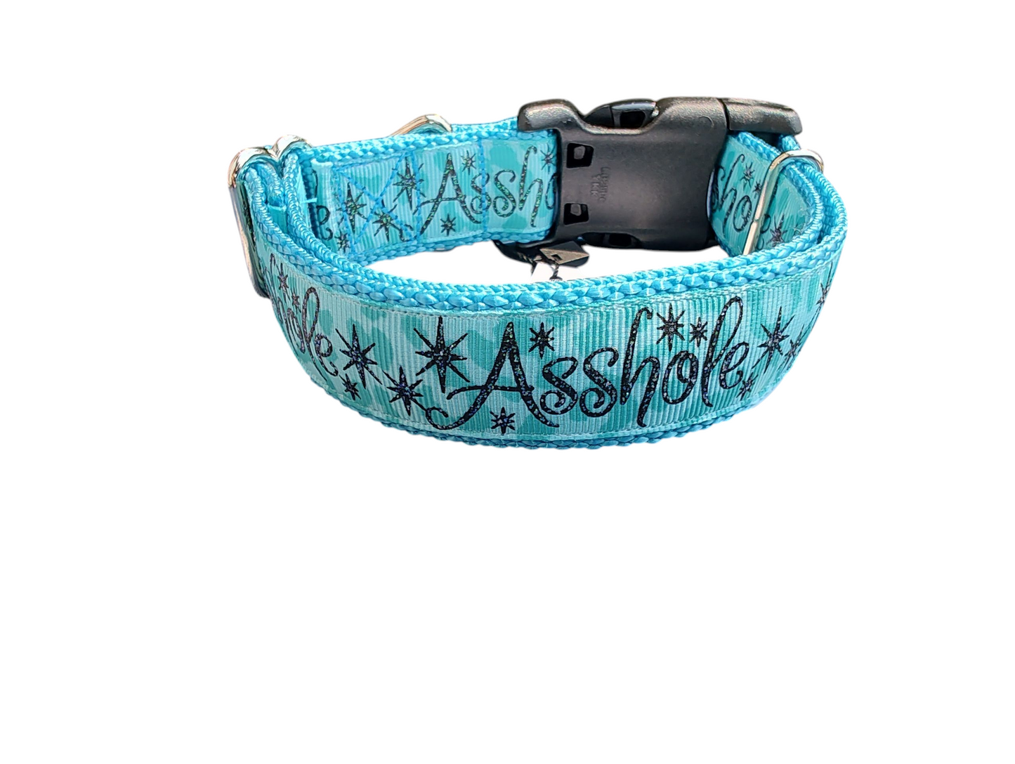 Asshole Blue Green Nylon Dog Collar | Purrfect Pet Kingdom