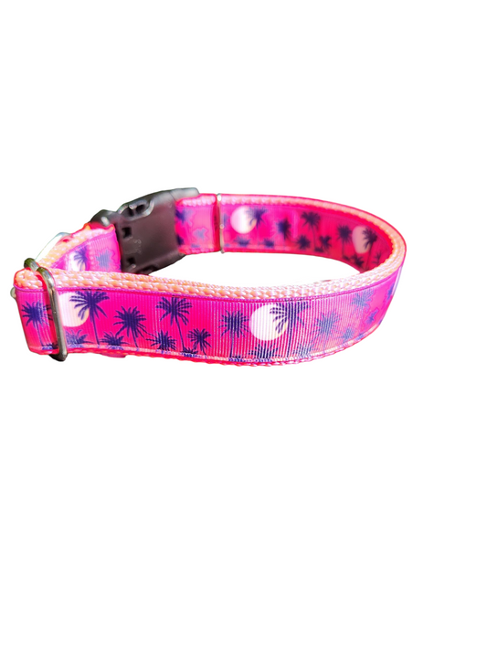 Pink Palm Trees Nylon Dog Collar | Purrfect Pet Kingdom