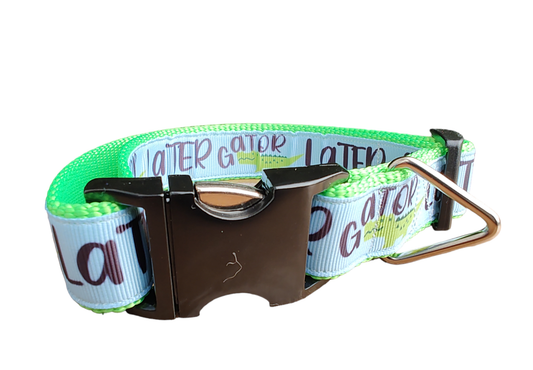 Later Gator Neon Green Nylon Dog Collar MD, LG, XL, Leash, Martingale | Purrfect Pet Kingdom