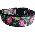 Protea Flower Nylon Dog Collar