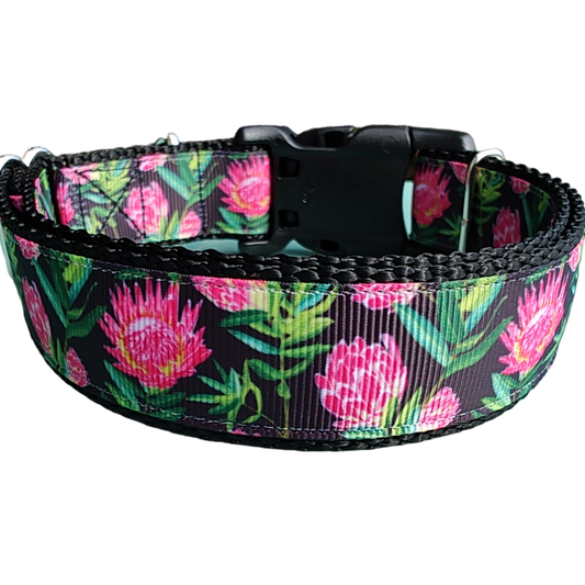 Protea Flower Nylon Dog Collar | Purrfect Pet Kingdom