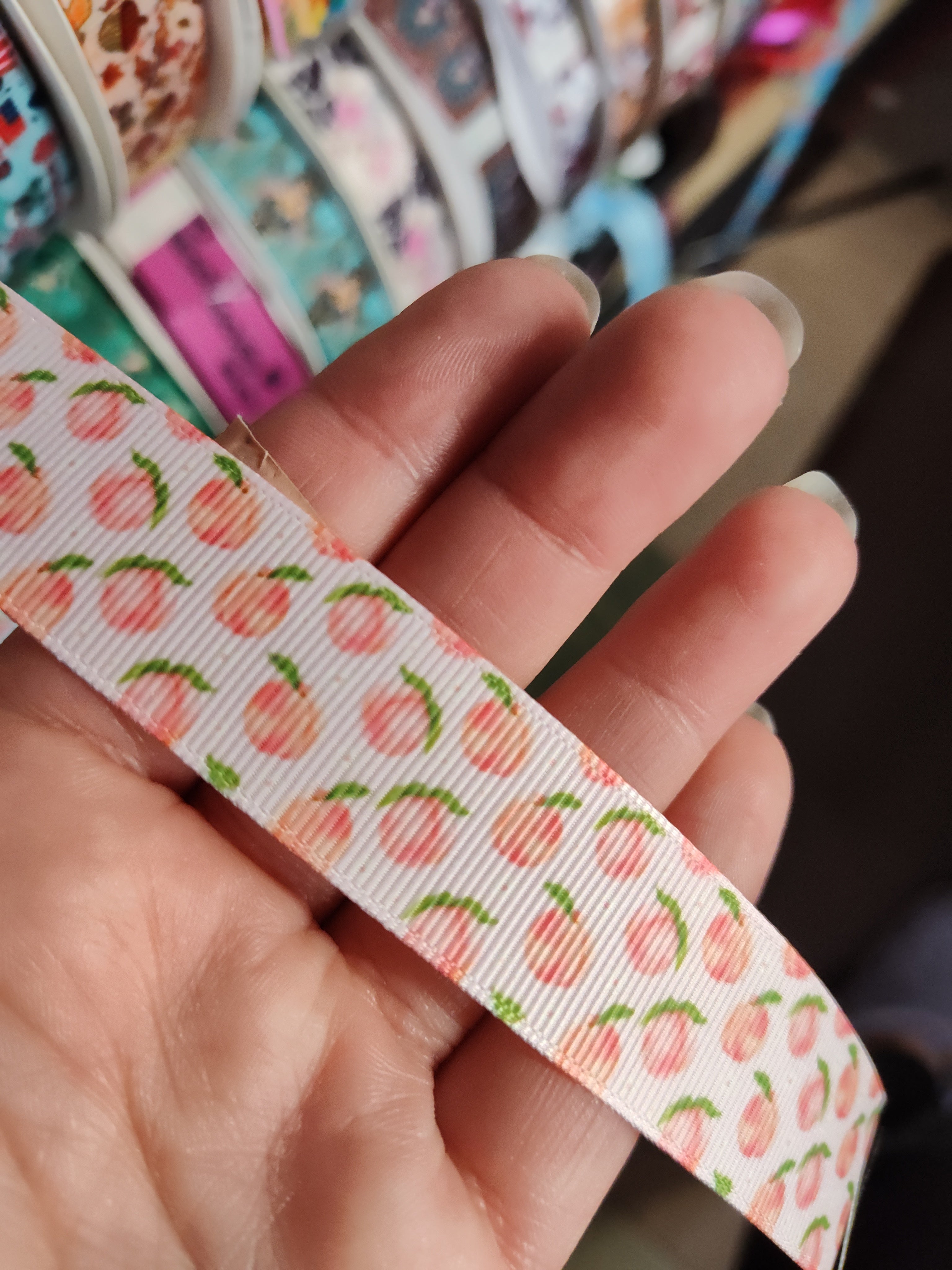 Peach Nylon Dog Collar