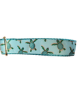Baby Sea Turtles Nylon Dog Collar