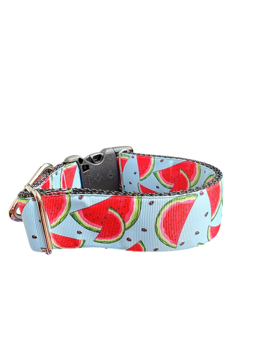 1.5" Wide Watermelon Wedges Nylon Dog Collar | Purrfect Pet Kingdom