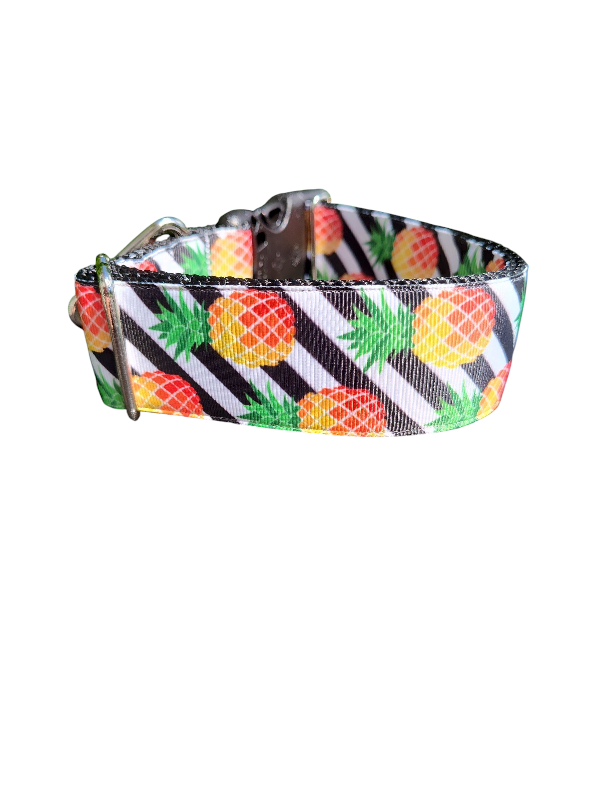 1.5" Wide Pineapple Stripes Nylon Dog Collar | Purrfect Pet Kingdom