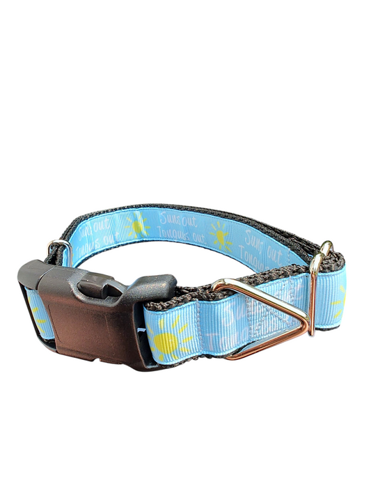 Suns Out Tongues Out Blue Nylon Dog Collar | Purrfect Pet Kingdom