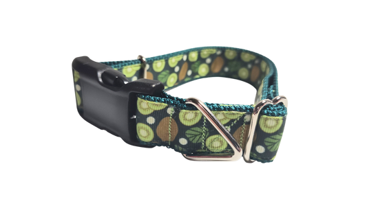 Kiwi Fruit Nylon Dog Collar | Purrfect Pet Kingdom