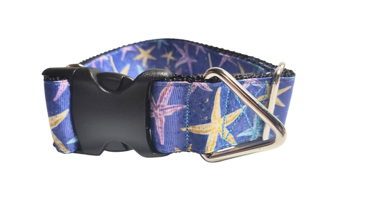 1.5" Wide Purple Starfish Nylon Dog Collar | Purrfect Pet Kingdom