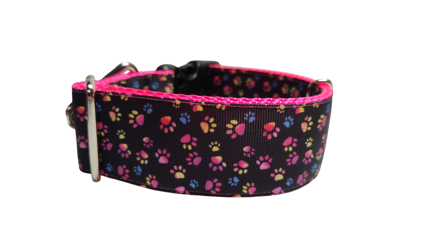 1.5" Wide Colorful Pawprints Nylon Dog Collar | Purrfect Pet Kingdom