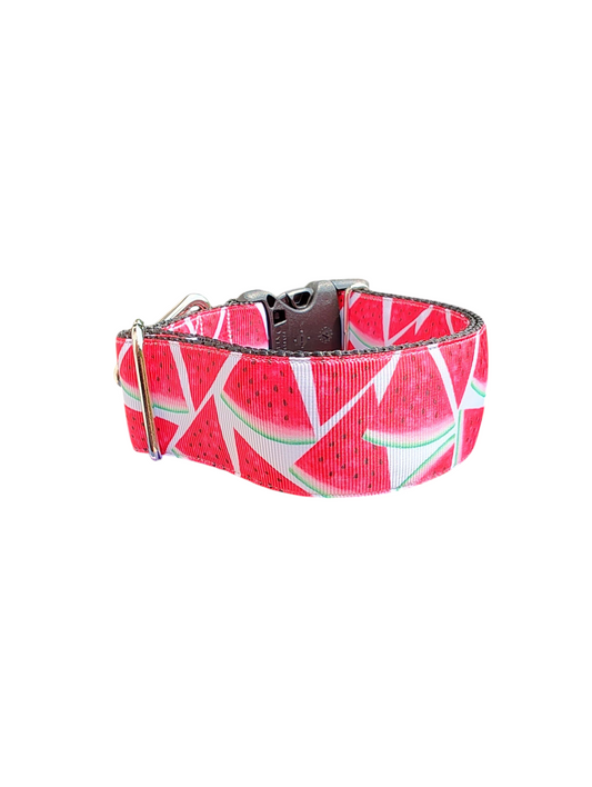 1.5" Wide Watermelon Slices Nylon Dog Collar | Purrfect Pet Kingdom