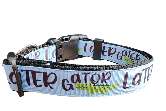 Later Gator Black Nylon Dog Collar MD, LG, XL, Leash | Purrfect Pet Kingdom