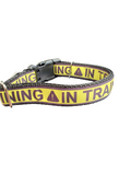 In Training Nylon Dog Collar