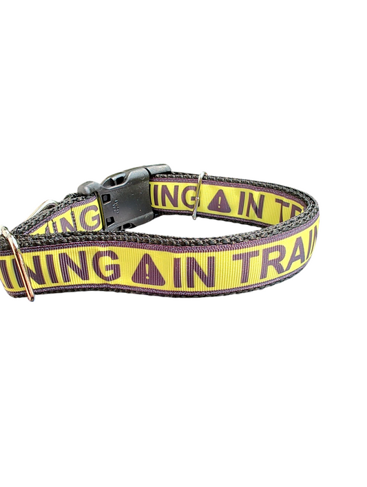 In Training Nylon Dog Collar | Purrfect Pet Kingdom
