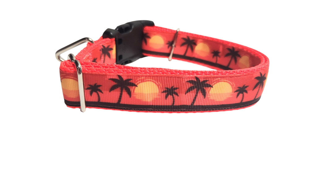 Beach Sunsets Nylon Dog Collar