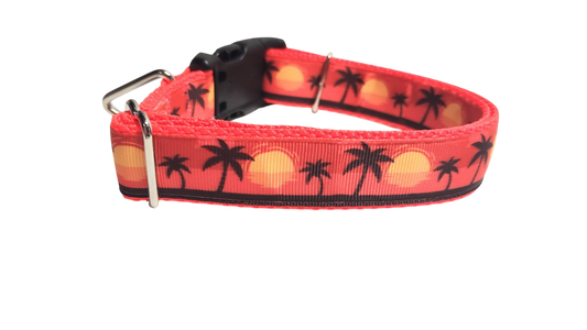 Beach Sunsets Nylon Dog Collar | Purrfect Pet Kingdom