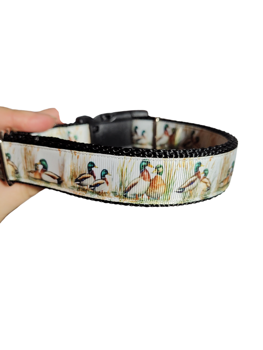 Mallard Duck Pair Nylon Dog Collar | Purrfect Pet Kingdom