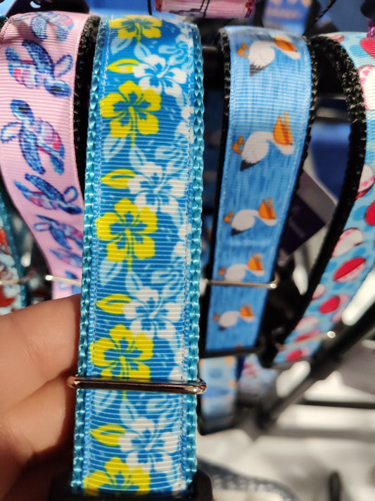 Hawaiian Flowers Nylon Dog Collar | Purrfect Pet Kingdom